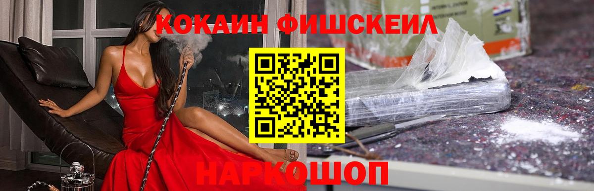 Кокаин Эквадор Камышин