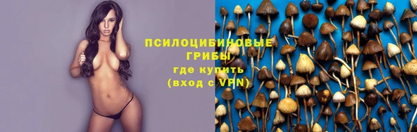 мескалин Краснослободск