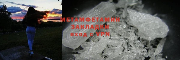 прущие грибы Краснотурьинск