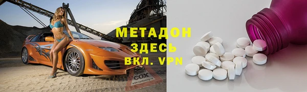 прущие грибы Краснотурьинск