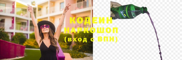 прущие грибы Краснотурьинск