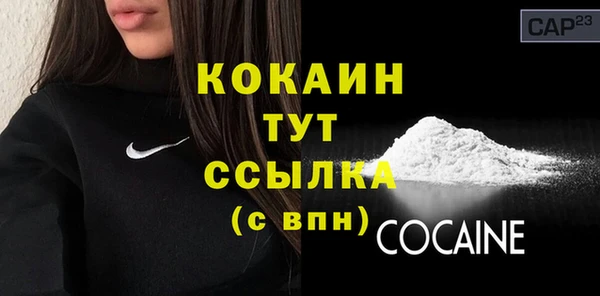 прущие грибы Краснотурьинск