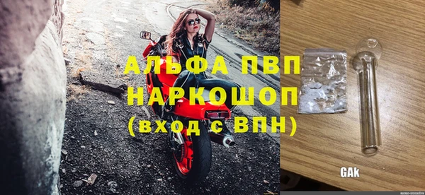 прущие грибы Краснотурьинск