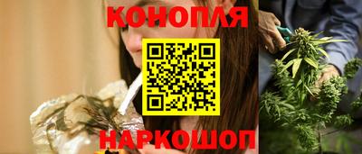 сатива Беслан