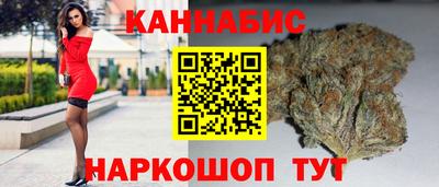 сатива Беслан