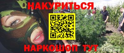 ECSTASY Будённовск