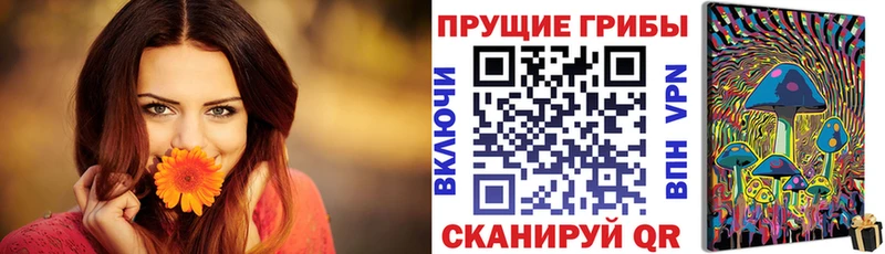 Галлюциногенные грибы ЛСД Камышин