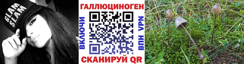 Псилоцибиновые грибы Psilocybine cubensis  Камышин 