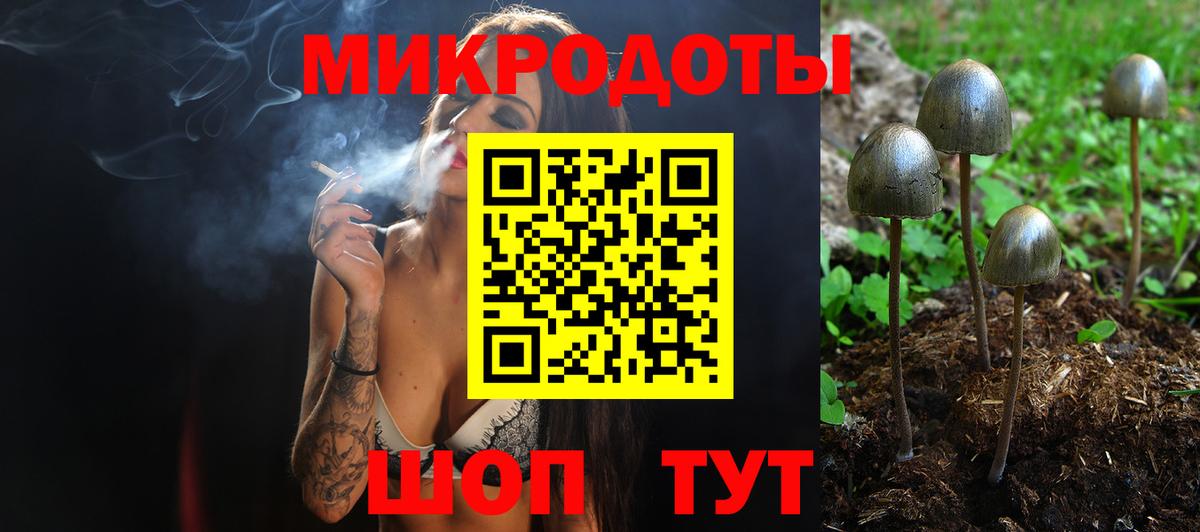 Псилоцибиновые грибы мицелий Камышин