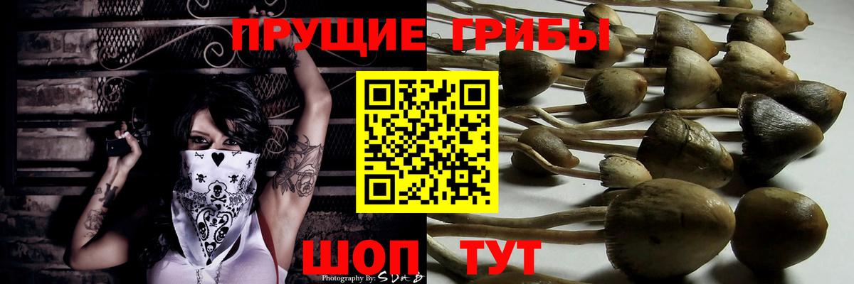 Галлюциногенные грибы ЛСД  Вход с VPN  Камышин 